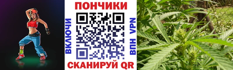 Виды наркотиков купить Ленинск АМФЕТАМИН  Мефедрон  СК  ГАШИШ  Cocaine  Конопля 