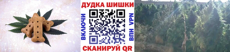 Cannafood конопля  Ленинск 