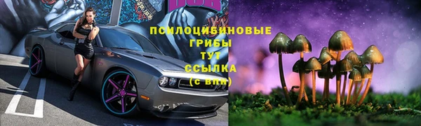 гидропоника Алексеевка