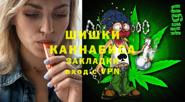 тгк Богородицк