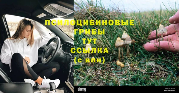 mix Арсеньев
