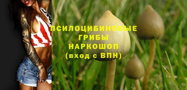 прущие крисы Армянск